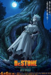 Dr. STONE NEW WORLD wiflix